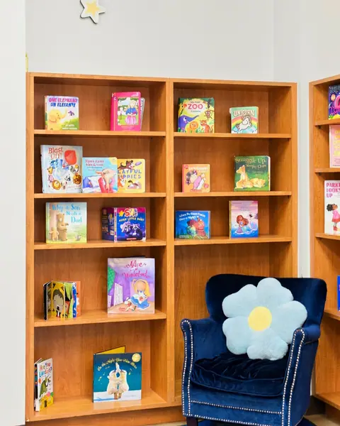 Picture-book shelves and a reading armchair with a flower pillow